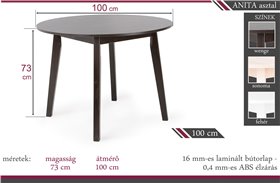 anita100_4